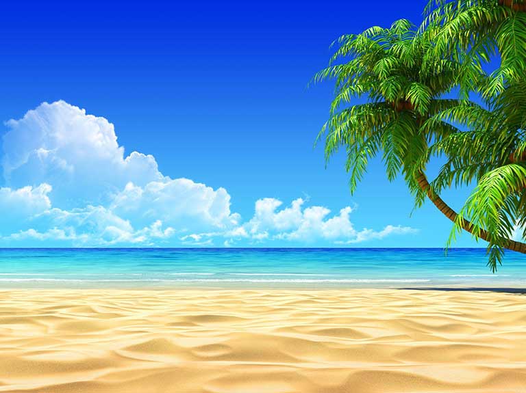 Beachfront Vacation Rentals