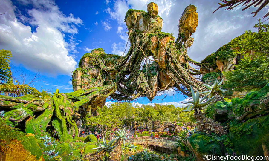 Disney's Animal Kingdom Theme Park Orlando Florida