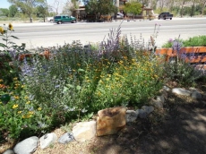 WWM 10 Family Adventure bunk suite, explore, relax