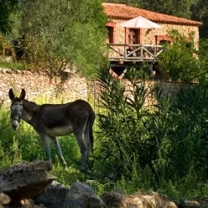 2 Bedrooms House Rental in Alajar, Spain