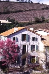 4 Bedrooms House Rental in Cascastel des Corbieres, France