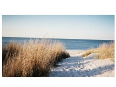 The beach!