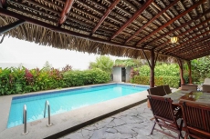 Pool area with thatch palmed deck with table and grill