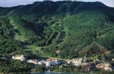 2 Bedrooms Condo Algonquin Spacious