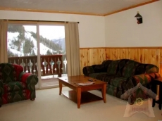 4 Bedrooms Chalet Chalet Swiss