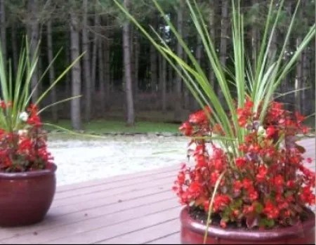 3 Bedrooms House Rental in Knowlton, Quebec