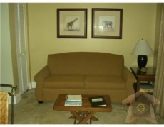 1 Bedroom Condo 2951 South