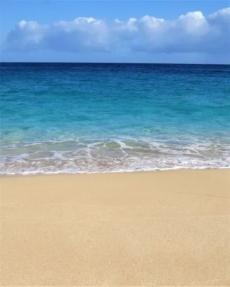 Luxurious, Modern, Spacious Studio at the Beach!