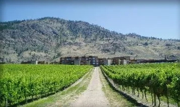 2 Bedrooms Cottage Rental in Osoyoos, British Columbia