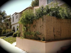 Hollywood-Mid-Wilshire-Beverly Apt. Near CBS-TV City, the Grove, Farmers' Market