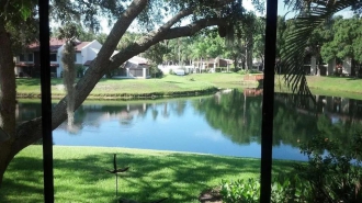 2 BR Private Pool condo Rental in Palm Harbor, Florida