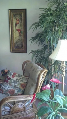 Tarpon Woods Condo with Lake View