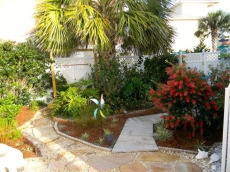 The Blue Turtle Beach House