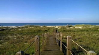 5 BR Beachfront House Rental in Port St. Joe, Florida