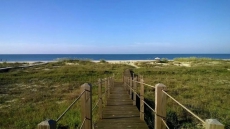 Jubilee at Cape San Blas