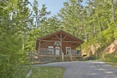 4 BR Pet-Friendly Cabin Rental