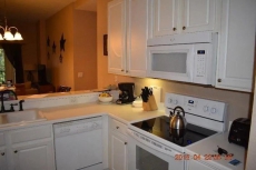 Condo for Rent near Disney