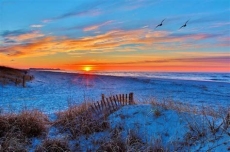 16 Bedroom Oceanfront home in Holden Beach Sleeps 50!