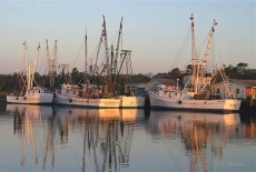 16 Bedroom Oceanfront home in Holden Beach Sleeps 50!