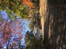 3 BR Pet-Friendly House Rental