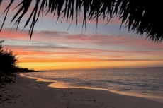 Monticello, Desert Rose beachfront cottage,Tiki Hut & Generator,10% Off 7+nights