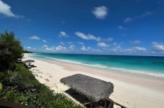 Monticello, Desert Rose beachfront cottage,Tiki Hut & Generator,10% Off 7+nights