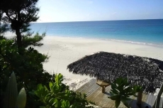 Monticello, Desert Rose beachfront cottage,Tiki Hut & Generator,10% Off 7+nights