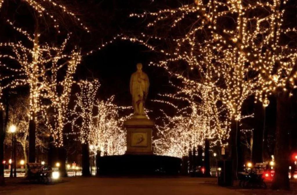 1 Bedroom Condo Rental in Boston, Massachusetts