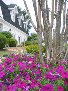 5 bedrooms in Greenville, South Carolina