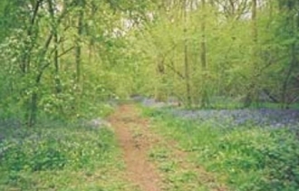 1 BR BnB Rental in Chipping Norton, United Kingdom