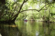 1 bedroom in Crawfordville, Florida