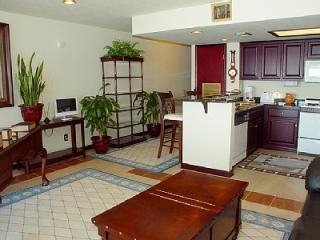 1 bedroom in Lake Conroe, Texas