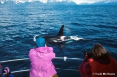 1 Bedroom Lodge Alaska Saltwater