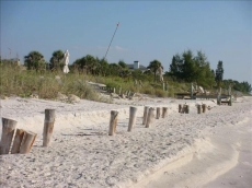 Beach view looking south