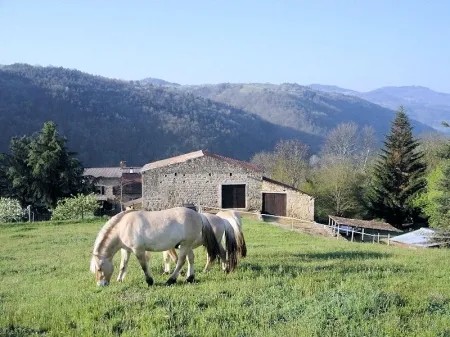 1 Bedroom Cottage Rental in Colombier, France
