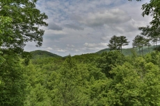 Crockett Trails