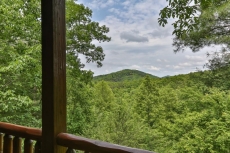 Crockett Trails