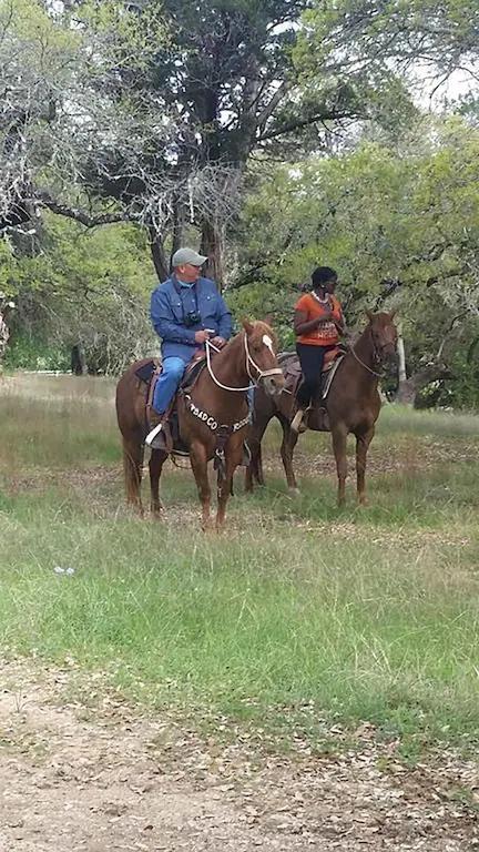 1 Bedroom Cabin Rental in Texas, United States of America