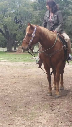 Butterflies Cabin @ HomeAway Ranch