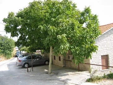 2 Bedrooms Apartment Rental in Pisak, Croatia
