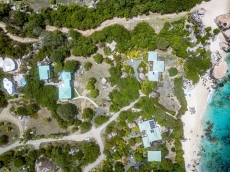 Turnstone - Little Trunk Bay - Virgin Gorda