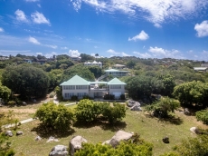 Turnstone - Little Trunk Bay - Virgin Gorda