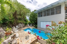 Turnstone - Little Trunk Bay - Virgin Gorda