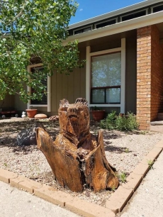 Many carved bears to greet you.