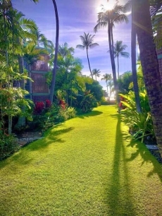 Enjoy the sunset OCEAN FRONT 1BR Apt-Pool on-site!