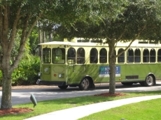 Hyatt Coconut Plantation Rest
