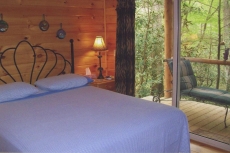 Garden of Edens - Private, Secluded in woods on creek, borders park! Pets OK! 20 min Gatlinburg