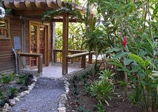 The Bamboo Apartment