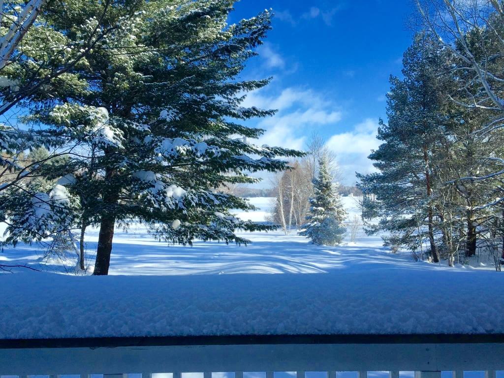 4 Bedrooms Beachfront, Lakefront Cottage Rental in Ontario, Canada