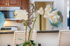 Stunning huge one level 1350 ft.² cottage